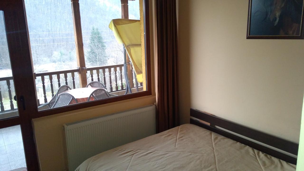 Guest House Alfa Daniel Balkanets  Ngoại thất bức ảnh